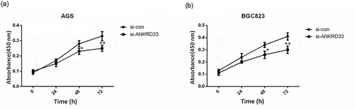 Figure 3. The proliferation ability of AGS and BGC823 cells was determined by CCK8 assay. (a) Knockdown of NKRD33 significantly suppressed AGS cell proliferation. (b) Knockdown of NKRD33 significantly suppressed BGC823 cell proliferation. *p < 0.05, **p < 0.01 vs. si-con group.