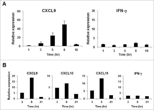 Figure 2. Kinetics of CXCR3 ligand mRNA synthesis following treatment with long peptides. (A) PBMC from A24+ donors latently infected with EB virus were stimulated with EBNA3A240–259 (20-mer; VQSCNPRYSIFFDYMAIHRS) peptide or DMSO as a control. Relative fold increase of mRNA levels of CXCL9 and IFNγ compared with the DMSO control was evaluated by RT-qPCR. One representative data out of three independent experiments is shown. Data represent relative quantity means ± SD. (B) In this experiment, we used the same PBMC aliquot from which we had previously established an HLA-B35 restricted NY-ESO-1p94–104 peptide specific CTL clone. After addition of NY-ESO-1p91–110 (20-mer) peptide or DMSO as a control, total RNA was extracted from PBMC at the indicated time points. The relative fold increase of mRNA levels of CXCL9 and IFNγ compared with DMSO control was quantified.