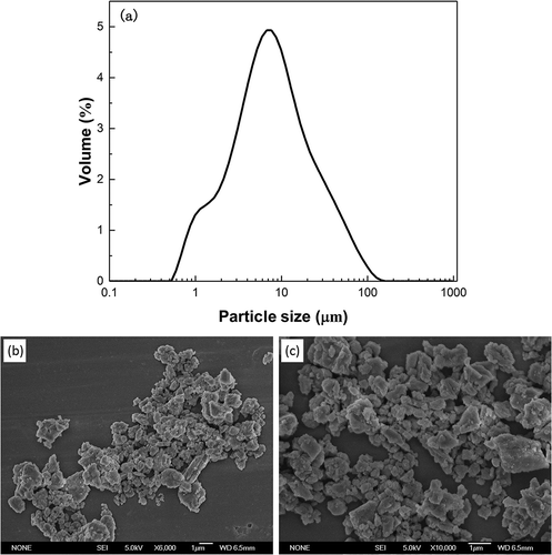 Figure 1. The particle size distribution (a) and SEM micrographs (b, c) of the eggshell powder.Figura 1. Distribución del tamaño de las partículas (a) y micrografías SEM (b, c) del polvo de cáscara de huevo.