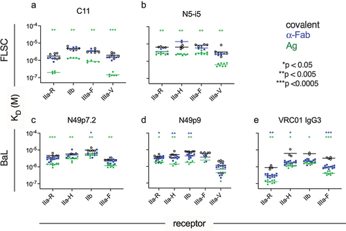 Figure 2. Antibody affinity for FcγR across assay configurations.