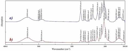 Figure 2. Infrared spectrum of a) native milkweed floss, and b) acetone-treated milkweed floss.