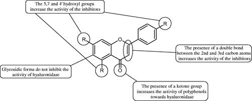 Figure 2. Chemical groups of flavonoids involved in the inhibition of hyaluronidase.