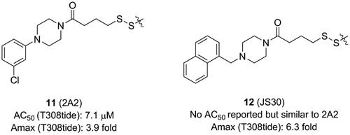 Figure 5. Structure and biochemical characterisation of disulphide derivatives.