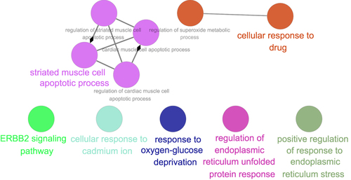 Figure 4 Interaction networks of enriched biological processes of differentially expressed ARGs.