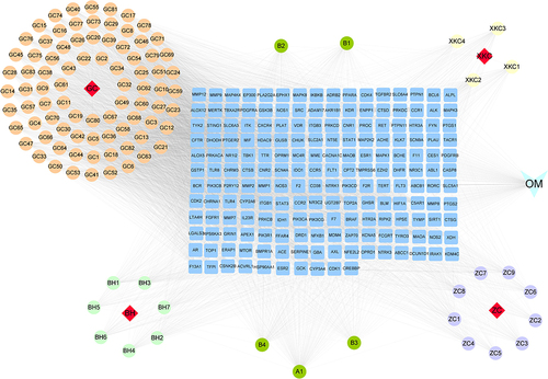 Figure 3 The ingredient-target-disease network of SCYYD on OM. There were 4 kinds of herbs, 108 active ingredients, 186 target genes. The diamond represents herbs in SCYYD, the circle represents the active ingredients of SCYYD, the rectangle represents the target genes, and the V shape represents for OM.