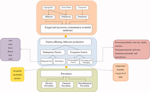 Figure 1. Overview of the fungal and mycotoxin occurrence, affecting factors, and prevention in herbal medicines.