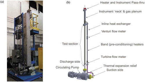 Fig. 4. (a) Picture of TRTL and (b) rendering of TRTL primary loop.