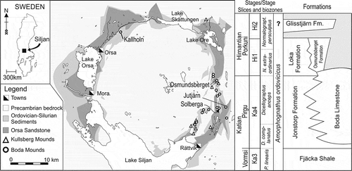 Figure 1. Map of the Siljan ring structure with the location of the older Kullsberg and the younger Boda carbonate mounds and Jutjärn quarry (WGS 84 60°58ʹ57.7”N 15°15ʹ3.3”E). The stratigraphical column to the right shows the global standard for stages, graptolite, and conodont biozones, in addition to the regional stratigraphy of the Siljan district, Stage Slices based on Bergström et al. (Citation2009). Stratigraphy based on Ebbestad et al. (Citation2015) and Kröger et al. (Citation2016)