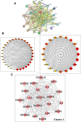 Figure 3 Protein–protein interaction (PPI) network of core targets against AD. (A) PPI network of 31 intersection targets constructed with STRING 11.0. (B) Top 20 hub genes were screened by CytoHubba using Cytoscape 3.9.0. (C) The most significant module was analyzed by MCODE.