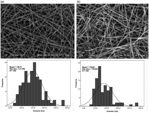 Figure 4. Characterization of electrospun nanofibers by SEM imaging: (a) PVA/SA electrospun nanofibers; (b) 2% MH/PVA/SA electrospun nanofibers.