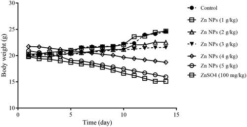 Figure 2. Mean body weight of mice administered biogenic Zn NPs at doses of 1, 2, 3, 4 and 5 g/kg and ZnSO4 at the dose of 100 mg/kg for 14 consecutive days.