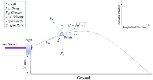Figure 3. Forces on a debris particle during flying after a laser-induced breakdown.