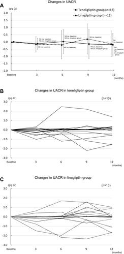 Figure 5 Changes in UACR over 12 months following the baseline measurement. (A) Changes in UACR in the teneligliptin and linagliptin groups. (B) Changes in UACR in the teneligliptin group. Eleven patients were taking 20 mg/day of teneligliptin (thin solid line) and two patients were 40 mg/day (bold solid line). (C) Changes in UACR in the linagliptin group.