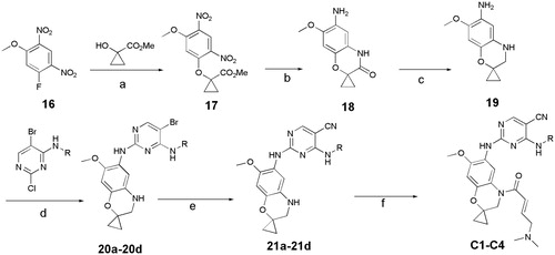 Figure 4. Synthesis of C1-C4, Reagents and conditions: (a) Cs2CO3, MeCN, rt, 2 h; (b) Fe/NH4Cl, MeOH, H2O,70 °C,12h; (c) LAH, THF, 70 °C, 2 h; (d) pTSA, Dioxane, 100 °C, 2 h; (e) Zn(CN)2, Pd2(dba)3.CHCl3/dppf, DMF, H2O, 120 °C(MW), 1.5 h; (f) (E)-4- (dimethylamino)but-2-enoyl chloride, TEA, 40 °C, 2 h.