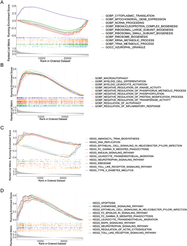 Figure 5 Gene Set Enrichment Analysis (GSEA) of diagnostic genes. (A) GO enrichment analysis of ARG1. (B) GO enrichment analysis of VNN1. (C) KEGG enrichment analysis of ARG1. (D) KEGG enrichment analysis of VNN1.