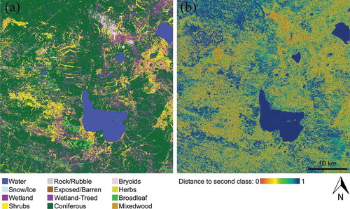 Figure 3. Example land cover classification (a) with distance to second class heat map (b). The example is located near Kotcho Lake in northwest British Columbia, Canada (Lat/Long: 59.06816°N/121.14950°W). High confidence classes (e.g., water) have large distances to second class based on the post-classification probabilities. Large distances to second class are also noted for homogeneous extents of forest. Lower distances to second class, denoting less confidence in the allocated category, are found for more rare and spatially limited classes (e.g., bryoids) or classes that have spectral similarity (e.g., herb, shrub, and broadleaf).