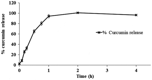 Figure 3. The percentage of curcumin release from curcumin-diglutaric acid in human plasma over 12 h incubation at 37 °C.