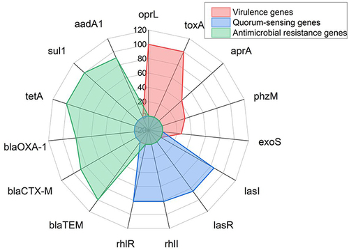 Figure 5 The distribution of virulence, quorum sensing, and resistance genes in the recovered P. aeruginosa isolates.