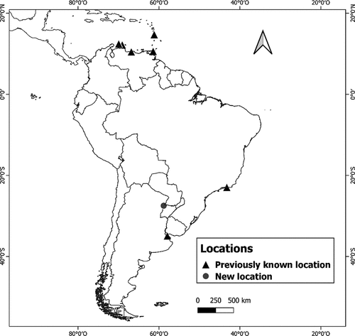 Figure 1. Previously and new locations with Rose-ringed Parakeet (Psittacula krameri) in South America.
