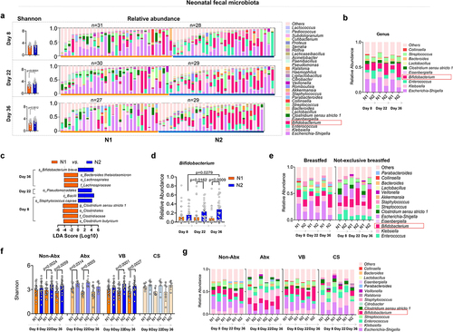 Figure 5. Changes in the intestinal microbiota of infants fed by different mothers.