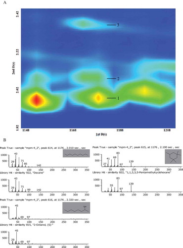 FIGURE 3 An example of a more powerful separation ability of 2D GC compared to 1D GC (A) Separation of three compounds by the second dimension column at 1176 s (1tR) found in volatiles of milk: (1) Decane, 2.010 s (2tR); (2) 1,1,3,3,5-Pentamethylcyclohexane, 2.100 s (2tR); (3) 2-Octanol, (S)-, 2.320 s (2tR); (B) Deconvoluted mass spectra of compounds in (A). The three compounds were separated by the second dimensional column, and would have co-eluted on the first dimensional column.