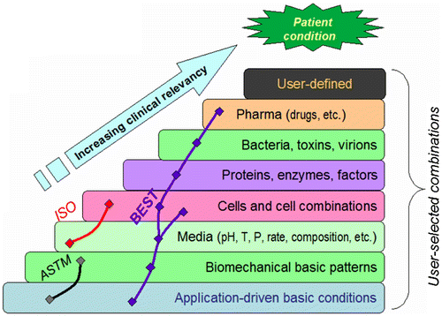 Figure 4. The concept of the biomaterials enhanced simulation testing [Citation80–82].