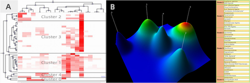 Figure 3 Matrix visualization and mountain visualization of biclustering of high-frequency MeSH terms on substance (chemical, drug, protein) and related diseases of multidrug-resistant-pulmonary tuberculosis. (A) Matrix visualization; (B) mountain visualization.