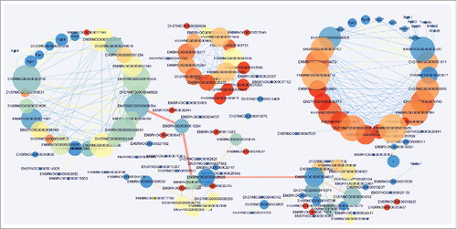 Figure 10. Protein interaction network analysis of DE mRNA in rats at 14d after SNI.