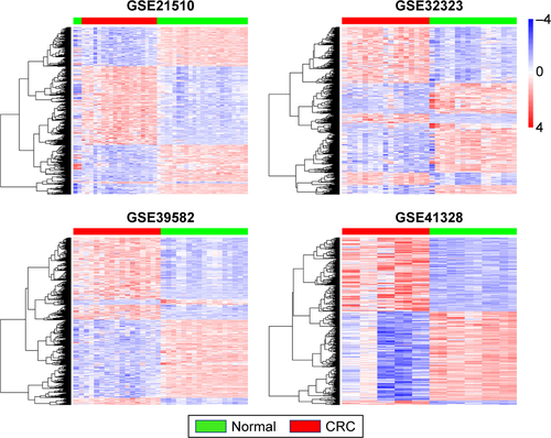 Figure S1 Differentially expressed genes in CRC vs normal tissues across each independent dataset. Each column represents a sample and each row represents the expression level of a given mRNA. The color scale represents the raw Z score ranging from blue (low expression) to red (high expression).Abbreviation: CRC, colorectal cancer.