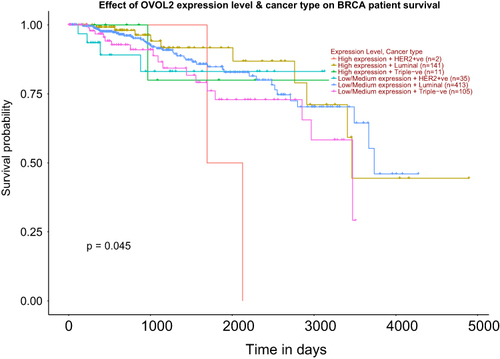 Figure 4 High expression of OVOL2 was positively correlated with survival of TNBC patients. Survival probability of TNBC patients with OVOL2 high expression was better than lower expression group. (p = 0.045).