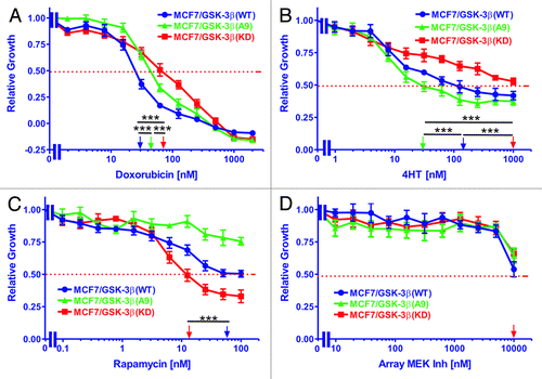 Figure 3. Effects of GSK-3β expression on sensitivity to doxorubicin, tamoxifen, a mTORC1 blocker and a MEK inhibitor. The effects of GSK-3β(WT), GSK-3β(A9) and GSK-3β(KD) on the sensitivity of MCF-7 cells to: (A) doxorubicin, (B) tamoxifen (4HT), (C) rapamycin, and (D) Array MEK Inhibitor (ARRY 509) were examined by MTT analysis after incubation of the cells in the indicated concentrations of the drugs. The arrows represents where 50% inhibition of growth intercepts with the x-axis and is used to estimate the IC50. The statistical significance was determined by the unpaired t test. Comparisons determined to be significant are indicated with (***). Symbols: MCF-7/GSK-3β(WT), dark blue lines with solid circles, MCF-7/GSK-3β(A9), green lines with solid triangles, MCF-7/GSK-3β(KD), red lines with solid squares. (A) The P value between doxorubicin treatment of MCF-7/GSK-3β(WT) and MCF-7/GSK-3β(A9) was 0.0001. The P value between doxorubicin treatment of MCF-7/GSK-3β(WT) and MCF-7/GSK-3β(KD) was 0.0001. The P value between doxorubicin treatment of MCF-7/GSK-3β(A9) and MCF-7/GSK-3β(KD) was 0.0001. (B) The P value between 4HT treatment of MCF-7/GSK-3β(WT) and MCF-7/GSK3β(A9) was 0.0001. The P value between 4HT treatment of MCF-7/GSK-3β(WT) and MCF-7/GSK-3β(KD) was 0.0001. The P value between 4HT treatment of MCF-7/GSK-3β(A9) and MCF-7/GSK-3β(KD) was 0.0001. (C) The P value between rapamycin treatment of MCF-7/GSK-3β(WT) and MCF-7/GSK-3β(KD) was 0.0001.