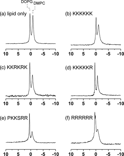 Figure 3.  31P MAS NMR spectra of MLVs of DMPC/DOPG (2:1 molar ratio) at 4°C. Spectra are shown for the lipid sample alone (a) and after the addition of the 5 basic hexapeptides to a lipid/peptide molar ratio of 20:1 (b–f).