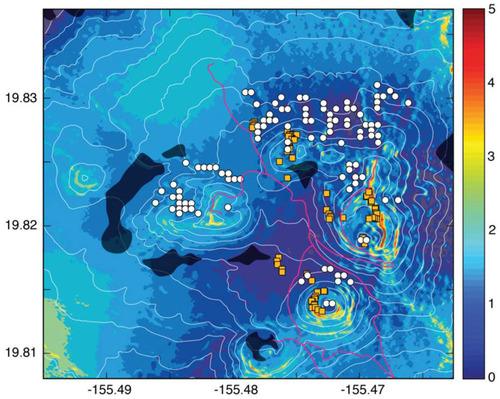 FIGURE 12. As in Figure 11, but for modeled bug fall density (undefined relative scale, colored shading) on Mauna Kea for 3-year total from 2008 through 2010.