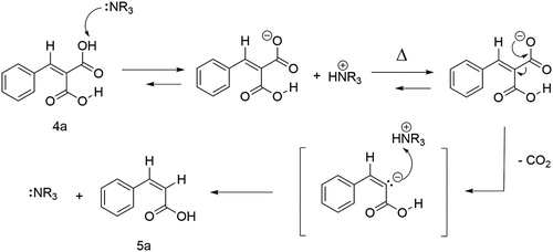 Scheme 3. Mechanism of the decarboxylation of cinnamic dicarboxylic acid 4a towards cinnamic carboxylic acid 5a catalyzed by a Lewis base NR3 (e.g. hydrobenzamide 2a)