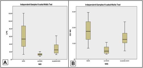 Figure 2 Comparison between the 3 categories of participants with NAFLD, who were classified according to NAS score into NASH, not NASH and borderline NASH as regards the serum levels of LPS in sub-figure (A) (p-value<0.001) and CD163 sub-figure (B) (p-value<0.001).Abbreviations: CD163, cluster of differentiation 163; LPS, lipopolysaccharides; NAFLD, non-alcoholic fatty liver disease; NAS, NAFLD activity score; NASH, non-alcoholic steatohepatitis.