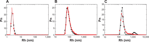 Figure S1 Hydrodynamic radius (Rh) number distribution (Pn) of the three VP6 structural assemblies obtained in the three different experimental conditions. (A) Hydrodynamic radius number distribution of the VP6 trimers in 20 mM Tris HCl pH 7.4, 150 mM NaCl, and 200 mM CaCl2 (black dots) and diluted 1:10 in phosphate-buffered saline (PBS; red dots). (B) Hydrodynamic radius number distribution of the VP6 spherical nanoparticles in 20 mM acetate buffer pH 4.5 NaCl 150 mM (black dots) and diluted 1:10 in PBS (red dots). (C) Hydrodynamic radius number distribution of the VP6 long rods in 20 mM 2-(N-morpholino)ethanesulfonic acid buffer, pH 6, NaCl 150 mM (black dots) and diluted 1:10 in PBS (red dots).