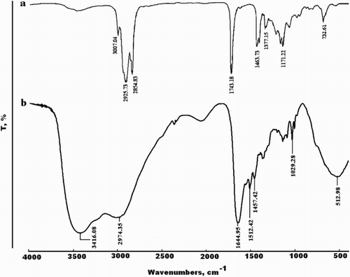 Figure 2. FT-IR of (a) mixed fatty acids methyl ester of MA-oil, (b) the MA-amido surfactant RCO (NH–CH2–CH2)4NH2.