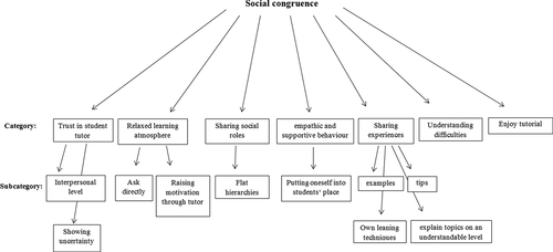 Figure 2. Categories and subcategories found for social congruence based on qualitative analysis.