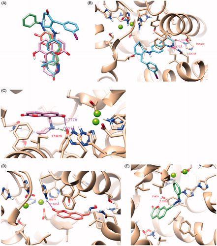 Figure 3. (A) Superposition of compounds MERCK1 (cyan), 9 (purple), 15 (magenta) and 16 (green). Docked poses of (B) the ligand MERCK1 (cyan), (C) compound 9 (purple), (D) compound 15 (magenta) and (E) compound 16 (green) in the PDE binding site. A gray scale was instead used for printed version.