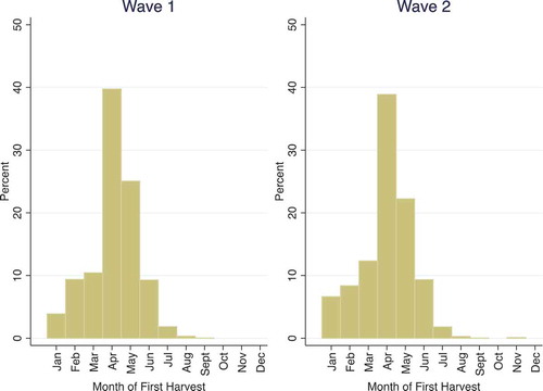 Figure 1.  Month of household first harvest