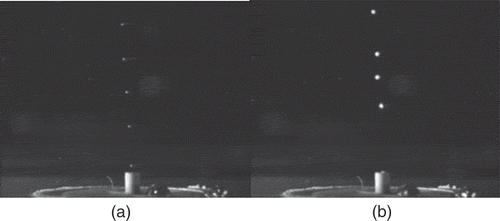 Fig. 13. Comparison of bubbles (a) streaming vertically in quiescent liquid and (b) being agitated within an acoustic field (the approximate acoustic field and size of the bubbles are 6 W/cm2 and 400 μm, respectively).