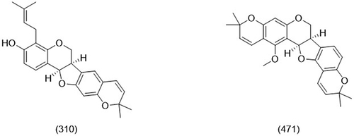 Figure 3 The chemical structure of erybraedin D (310) (left) and ganggetinin (471) (right).