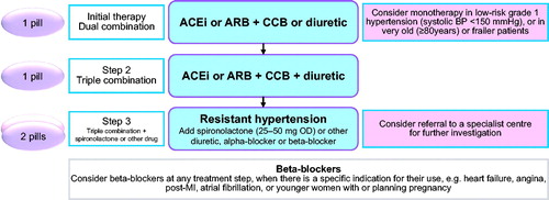 Figure 2. Treatment Algorithm of the European Society of Cardiology/ European Society of Hypertension. ACEi: angiotensin-converting enzyme inhibitor; ARB: angiotensin II receptor blocker; CCB: calcium channel blocker; OD: once a day; MI: myocardial infarction.