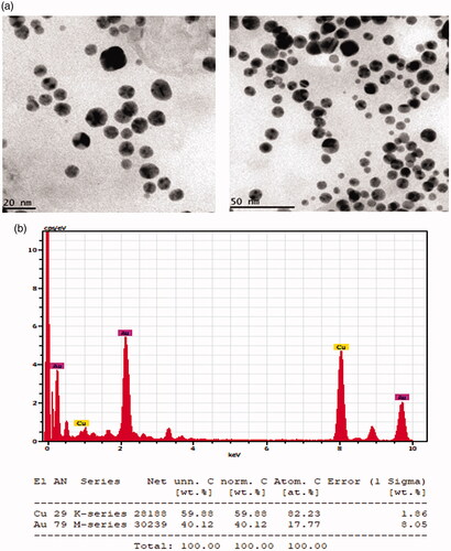 Figure 2. (a) High resolution transmission electron microscopy (HR-TEM) and (b) Energy dispersive X-ray (EDX) and analysis silver nanoparticles synthesised from Marsdenia tenacissima.