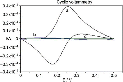 Figure 2. Cyclic voltammograms of (a) bare glassy carbon, (b) glassy carbon/glucose oxidase-glutaraldehyde, (c) glassy carbon/glucose oxidase-glutaraldehyde/polyanilin electrodes in 0.1 M KCl solution containing 5 mM Fe(CN)64−/3−. Scan rate: 50 mV s−1.