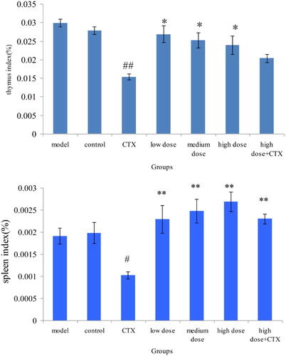 Figure 1. Effect of ABA on thymus and spleen index in H22 liver tumor mice ( ± sd, n = 10). Note: acylated blueberry anthocyanin (ABA), compared with model group, #P < .05, ## P < .01; compared with CTX group, *P < .05, ** P < .01.