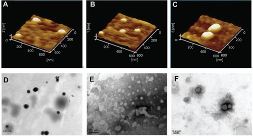 Figure 2 Atomic force microscopic images of (A) binary protamine/DNA nanoparticles (1.5:1, w/w), (B) SLN with 15 wt% ODA, (C) SLN/protamine/DNA nanoparticles (SLNs with 15 wt% ODA/protamine/DNA, 50:4.5:3, w/w/w), transmission electron microscopic images of (D) binary protamine/DNA nanoparticles, (E) SLNs with 15 wt% ODA (1.5:1, w/w), and (F) SLN/protamine/DNA nanoparticles (SLNs with 15 wt% ODA/protamine/DNA, 50:4.5:3, w/w/w).Abbreviations: ODA, octadecylamine; SLNs, solid lipid particles; DNA, deoxyribonucleic acid.