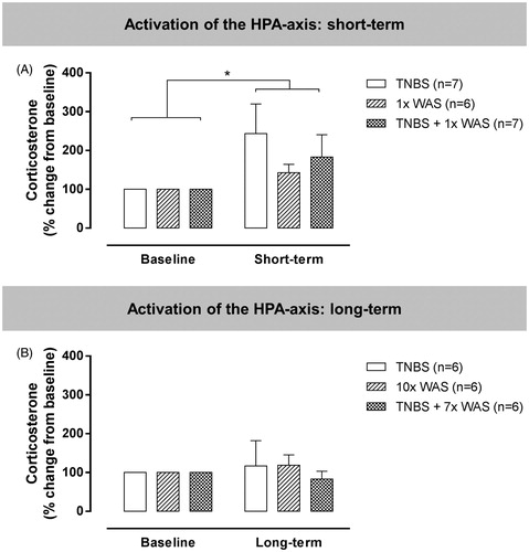 Figure 7. Serum corticosterone concentrations in a separate set of rats to assess activation of the HPA axis. The short-term (A) and long-term (B) protocols were designed to parallel the visceral sensitivity experiments. Corticosterone concentrations were measured before the start and at the end of each experiment, consistent with the timing of registration of VMRs in the previous experiments. Data are presented as mean ± SEM. Repeated two-way ANOVA. *p < 0.05, significantly different compared to baseline.