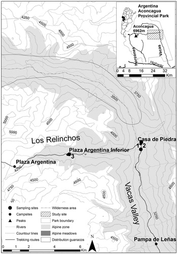 FIGURE 1. Location of the alpine Meadow 1 and Meadow 2 in Casa de Piedra and Meadow 3 in Plaza Argentina Inferior, where the experiment was conducted between November 2010 and March 2011 in Aconcagua Provincial Park (32°39′S, 69°50′W).