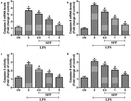 Figure 5. Effects of sulforaphane (SFP) on LPS-induced apoptosis in Caco-2 cells. Cells were exposed for 24 h to LPS (1 μg/mL) and different concentrations of sulforaphane (0.5–5 μM). (a) Levels of caspase-3 mRNA. (b) Levels of caspase-9 mRNA. (c) Activity of caspase-3. (d) Activity of caspase-9. Values are mean ± SD (n = 6). Difference between two groups was performed by an independent-samples t-test, *P < 0.05 vs. control group (CN); #P < 0.05 vs. LPS group. The difference between different concentrations of sulforaphane was performed using one-way analysis of variance
